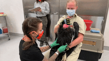 Animal Care California GIF by Oakland Zoo