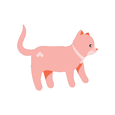 Cat Kitty Sticker by VCA Animal Hospitals