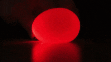 Egg GIF by Diply
