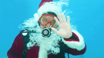 Merry Christmas GIF by Storyful