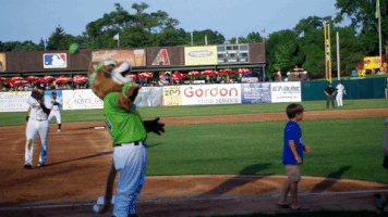 ozzie t cougar mascot race GIF by Kane County Cougars