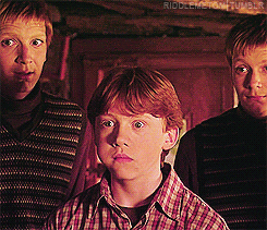 Ron, Fred and George