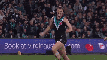 Aussie Rules Football GIF by Port Adelaide FC