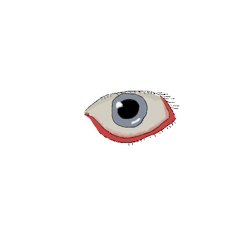 Eye Sticker