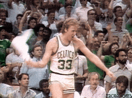 Boston Celtics Yes GIF by NBA