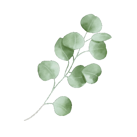 Watercolor Eucalyptus Sticker