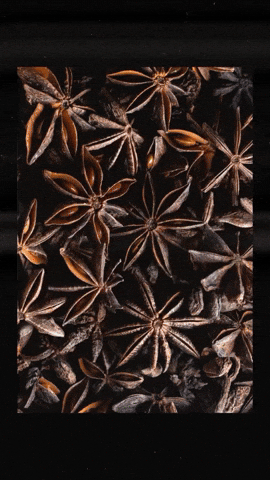 Halloween Cheers GIF by Art in the Age Spirits