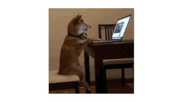 GIF by Animatron