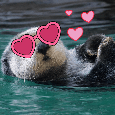 Sea Otter GIF