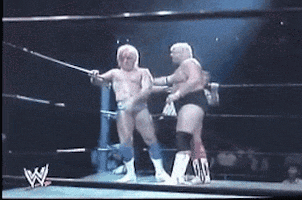 The Ric Flair Flop Gifs Get The Best Gif On Giphy