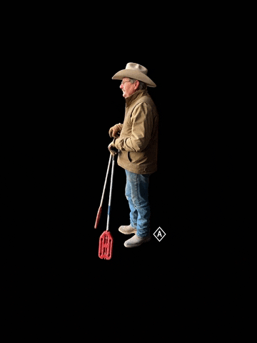 Cowboy Cattle GIF by alextempleton_