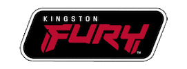 Fury Sticker by Kingston Technology