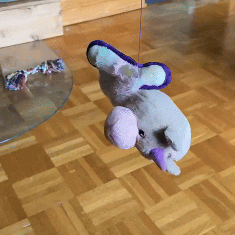 Dog Dino GIF
