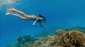 Ocean Swimming GIF by Survivor CBS