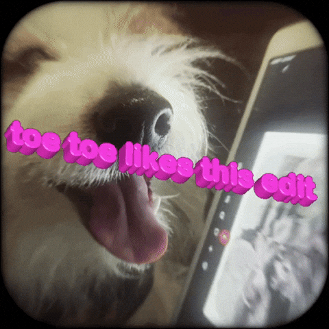 Annqlou GIF