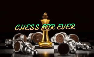 Chess For Ever GIF