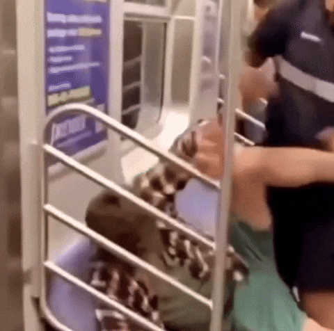 Fed Ex No GIF by EsZ  Giphy World