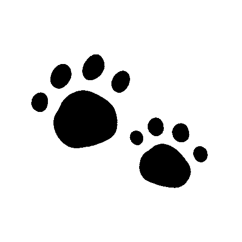 Cat Beauty Sticker by springnflower