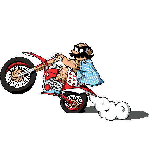 Bike Moto Sticker