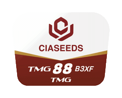 Algodão Sticker by Ciaseeds