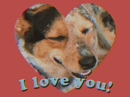 Digital art gif. Smiling dog looks at us through a red heart-shaped frame, in front of which are the words "I love you!"