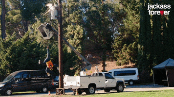 Hanging Paramount Pictures GIF by Jackass Forever