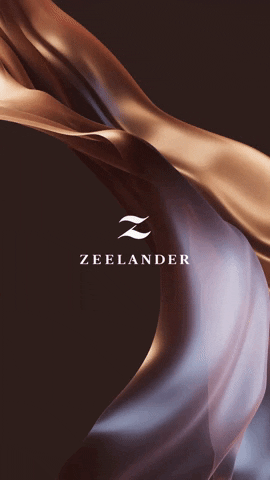 Zeelander GIF