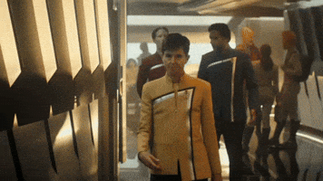 Watch It Star Trek GIF