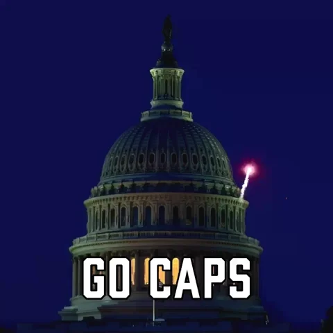 Washington Capitals Sport GIF