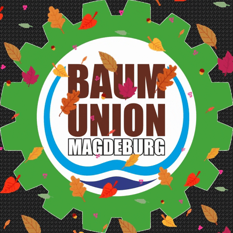 BaumUnion Magdeburg GmbH GIF