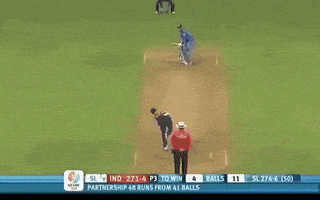 Cricket Field GIF