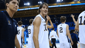 Uc Irvine No GIF by UCI Athletics