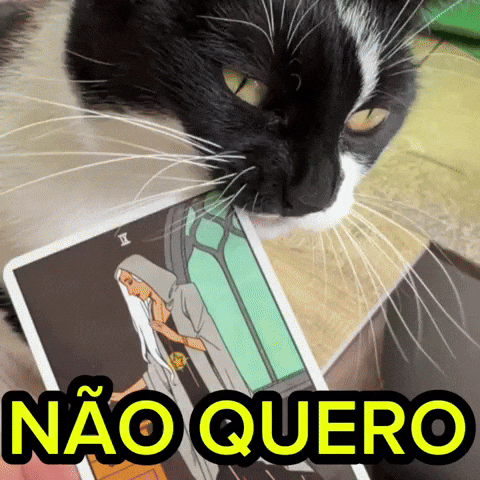 Gatos GIF