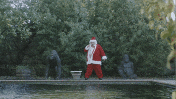 Patreon GIF