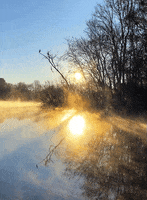 Water Winter GIF by University of Florida