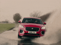 Jaguar Cars Gifs Get The Best Gif On Giphy