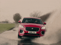 Jaguar Cars Gifs Get The Best Gif On Giphy Jaguar Cars Gifs Get The Best Gif On Giphy
