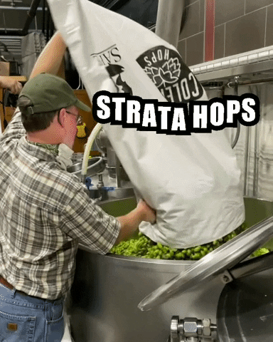 Strata Hops GIF by Odell Brewing Company