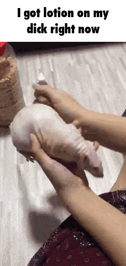Lotion GIF