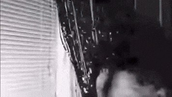 Lana Del Rey Lizzy Grant GIF