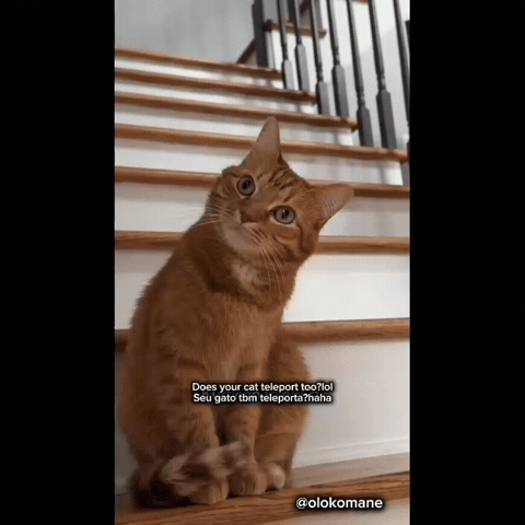 Happy Art GIF