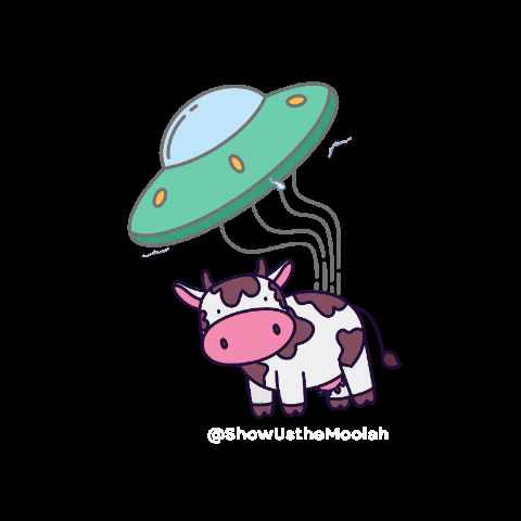 Giphy