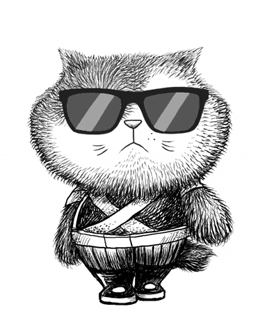 Cat GIF