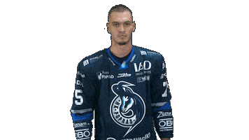 Popradhockey Sticker by HK Poprad