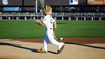 baseball running GIF by Kane County Cougars