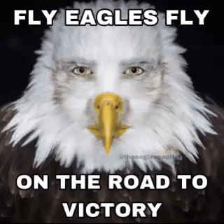 Eagles GIF
