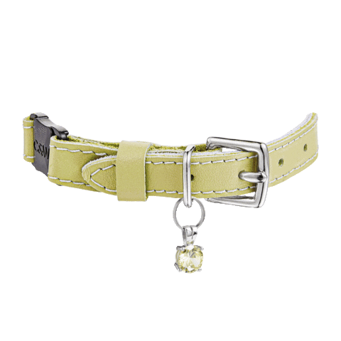 Source: Cheshire & Wain