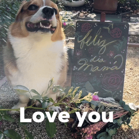 Love You Dog GIF