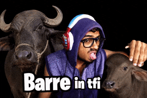 Barre GIF
