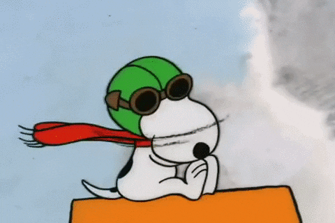 Snoopy Gifs Get The Best Gif On Giphy